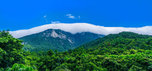 罗浮山墓地